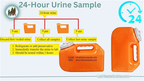 24 hour urine test bottle|why collect 24 hour urine.